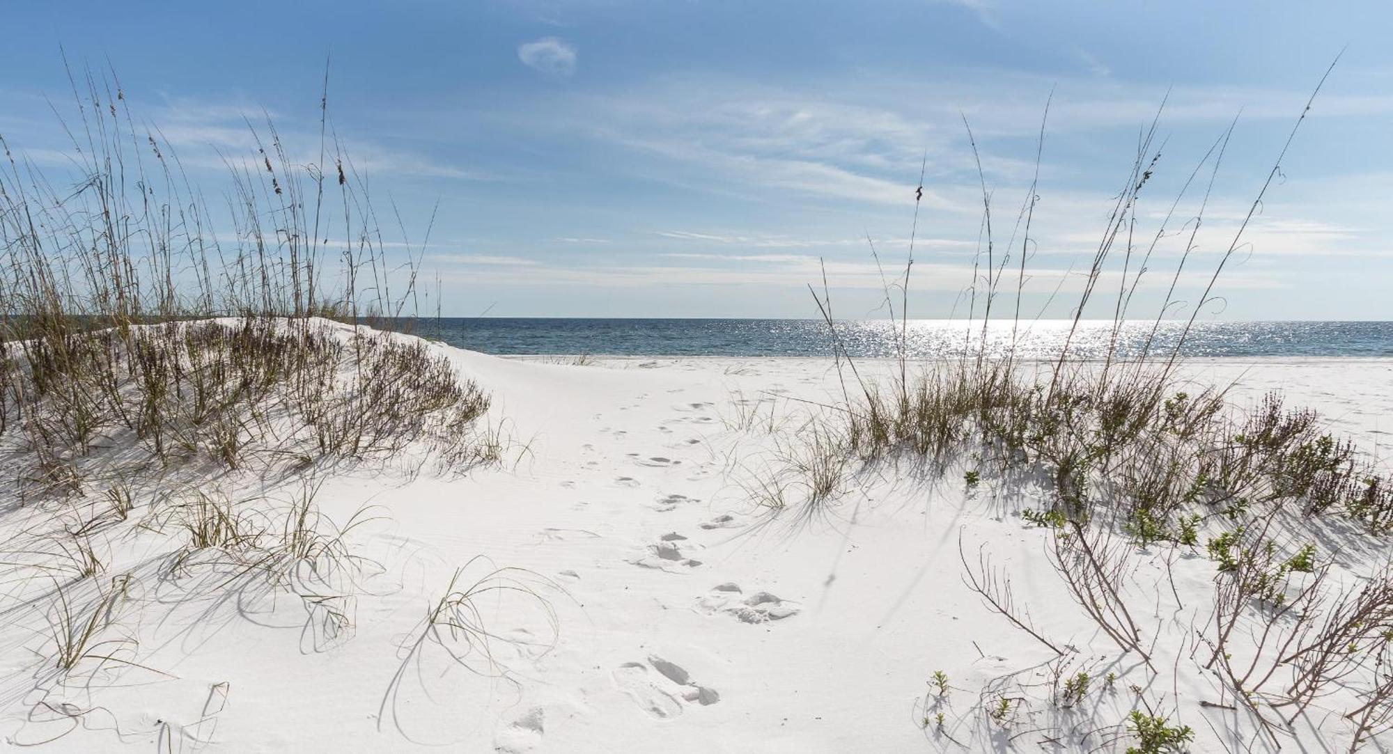 Nautilus Unit 2310 Villa Fort Walton Beach Exteriör bild