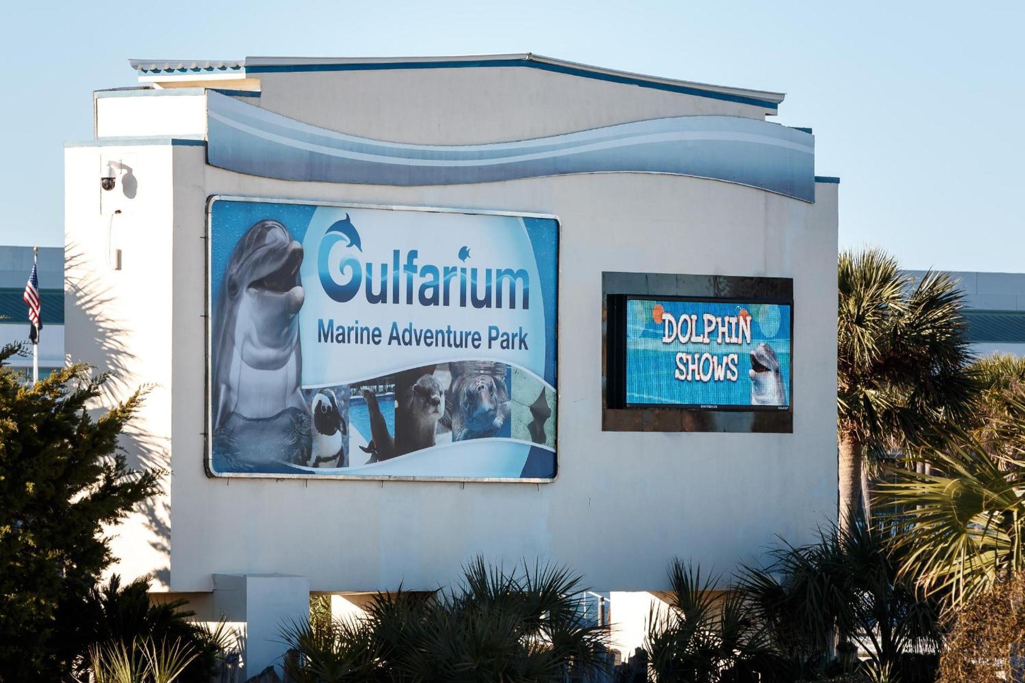 Nautilus Unit 2310 Villa Fort Walton Beach Exteriör bild