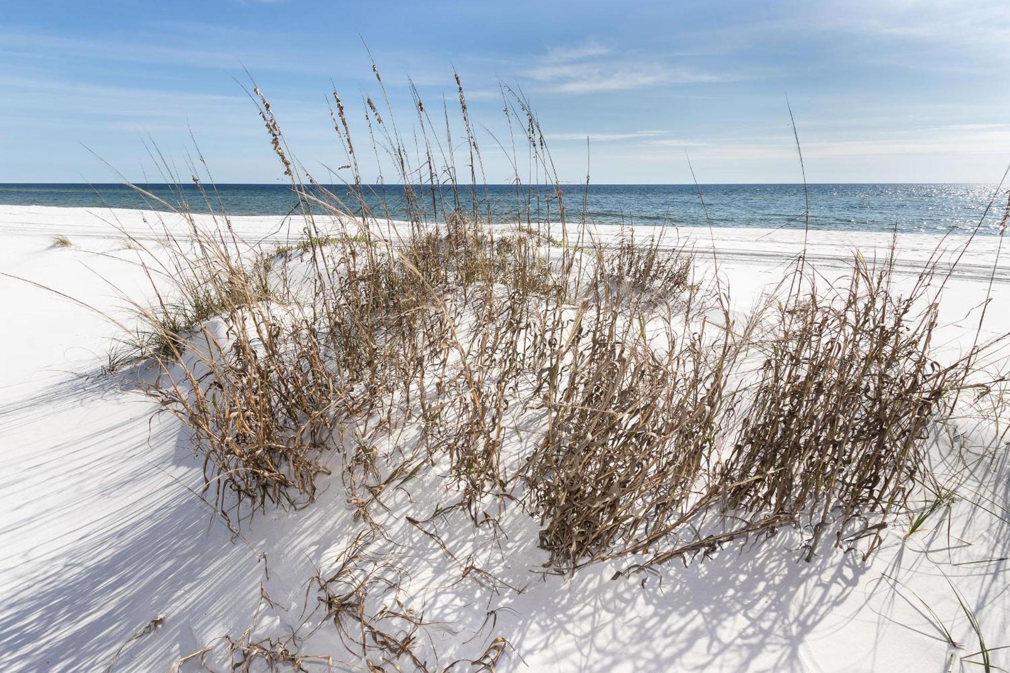 Nautilus Unit 2310 Villa Fort Walton Beach Exteriör bild
